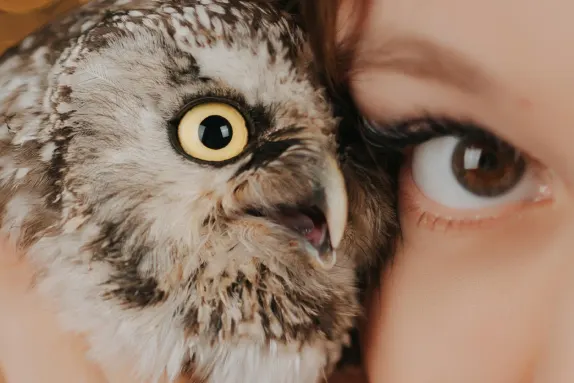 Paradise Kasino Podpora